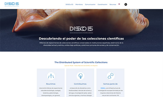 Portfolio diseño web IMEDIA Comunicación_DiSSCo ES